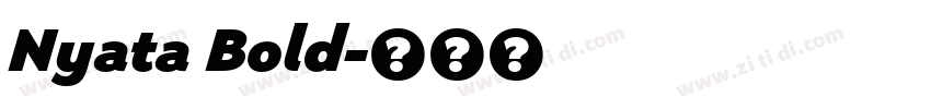 Nyata Bold字体转换